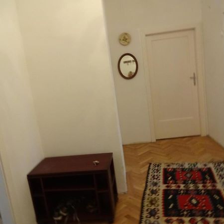 Helle Freundliche Wohnung Im Zentrum 维也纳 外观 照片