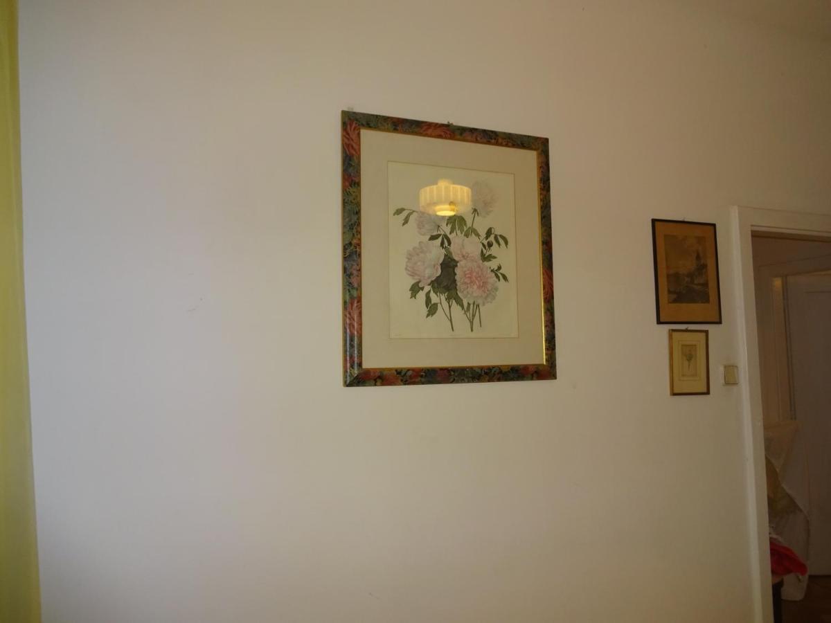 Helle Freundliche Wohnung Im Zentrum 维也纳 外观 照片